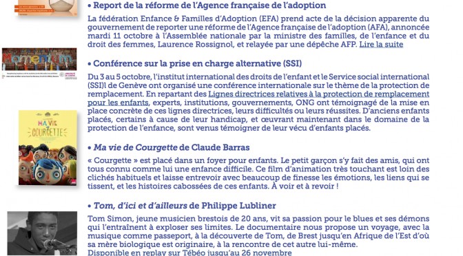 Newsletter n°29